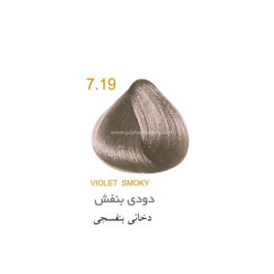 رنگ مو چولای سری ترکیبی شماره 7.19