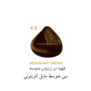 رنگ مو جولای سری زیتونی شماره 4.3