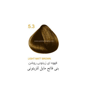 رنگ مو جولای سری زیتونی شماره 5.3