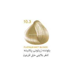رنگ مو جولای سری زیتونی شماره 10.3